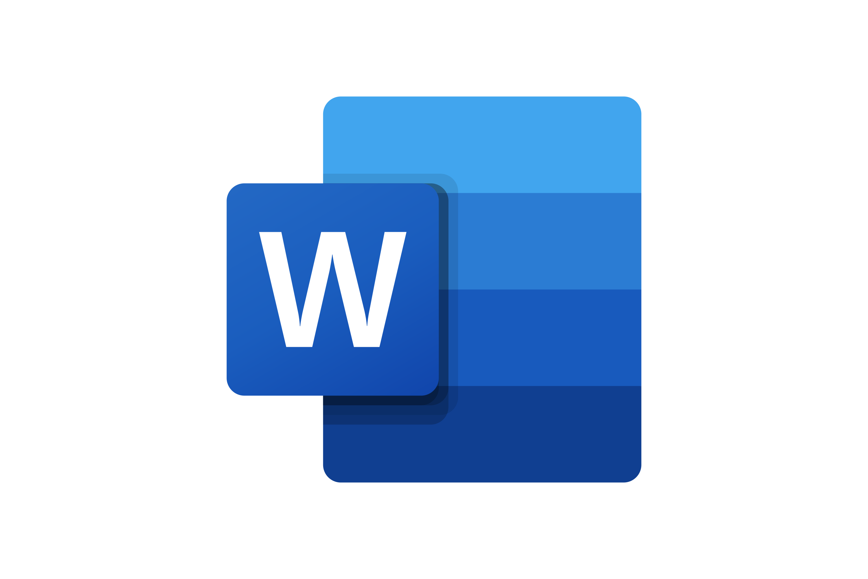 MS Word