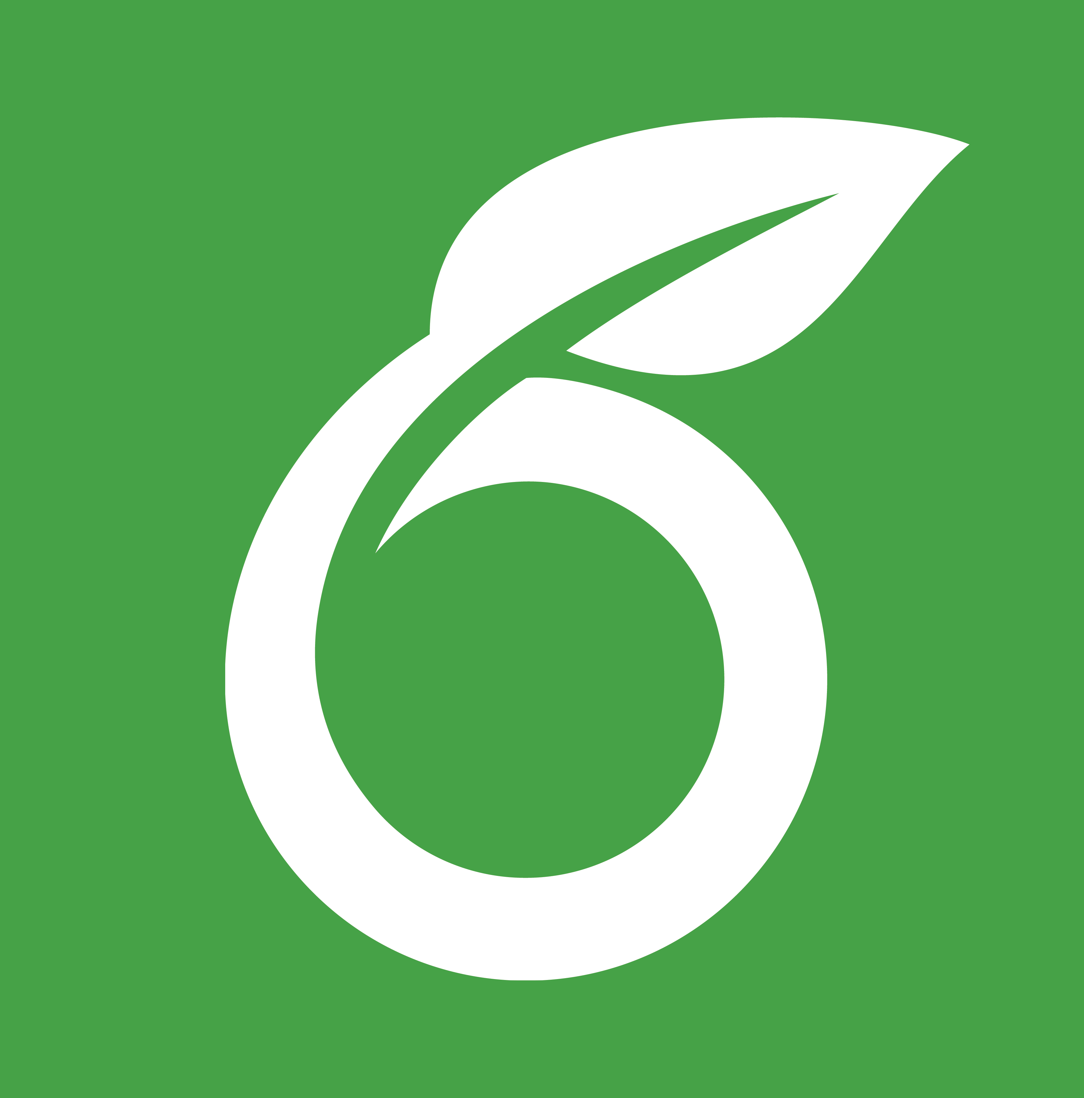 Overleaf